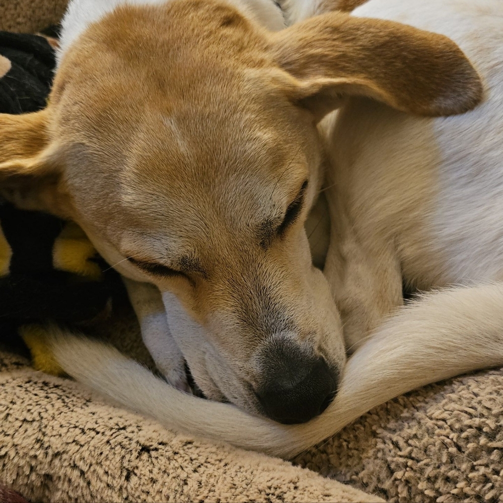 Meet your Posher, Tessa